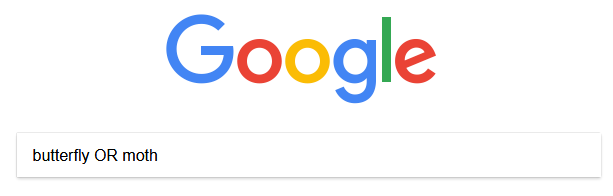 Google Boolean example